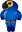 Macaw 3